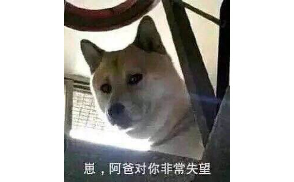 崽，阿爸对你非常失望 - 各种dog表情