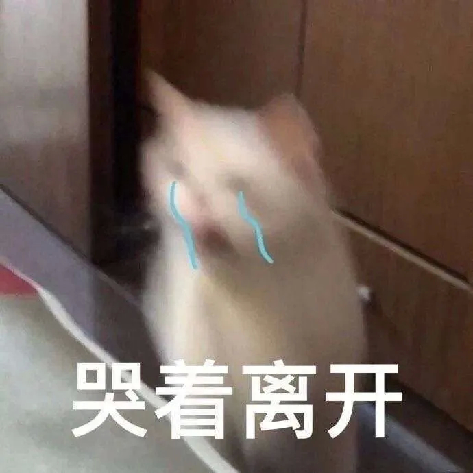 哭着离开（猫猫表情包）