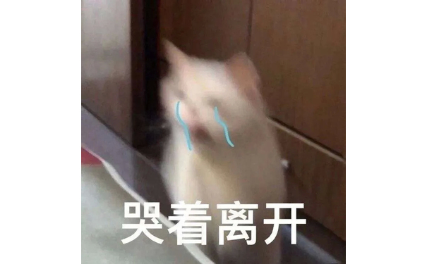 哭着离开（猫猫表情包）