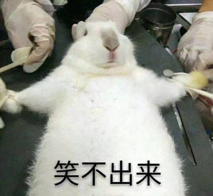 笑不出来