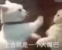 上去就是一个大嘴巴（猫咪）