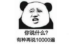 你说什么？有种再说10000遍