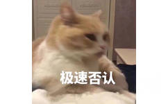 极速否认（猫咪）