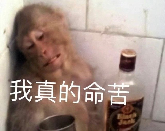 我真的命苦