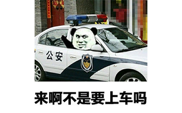 来啊不是要上车吗