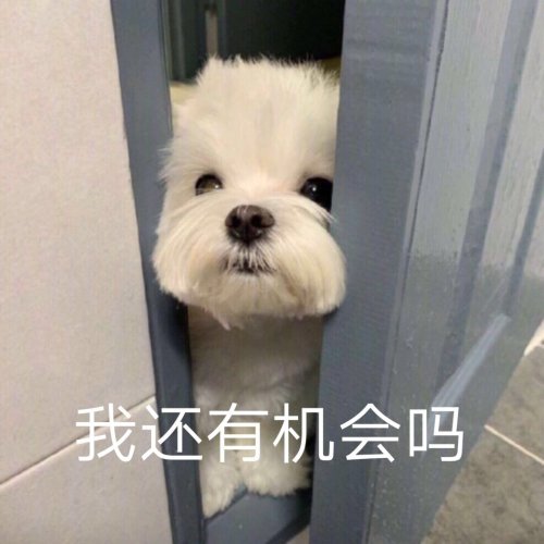 我还有机会吗？