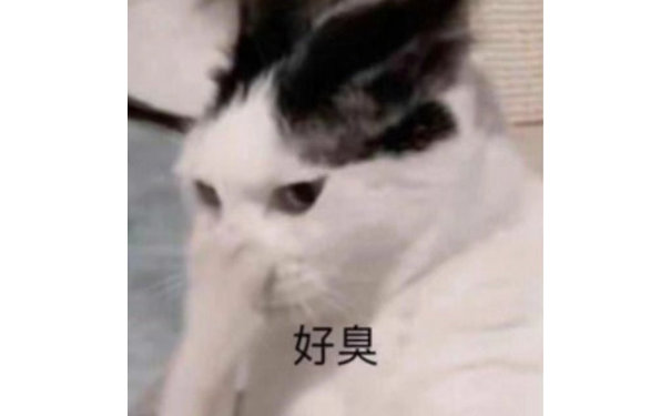 好臭(猫咪捂嘴表情包)