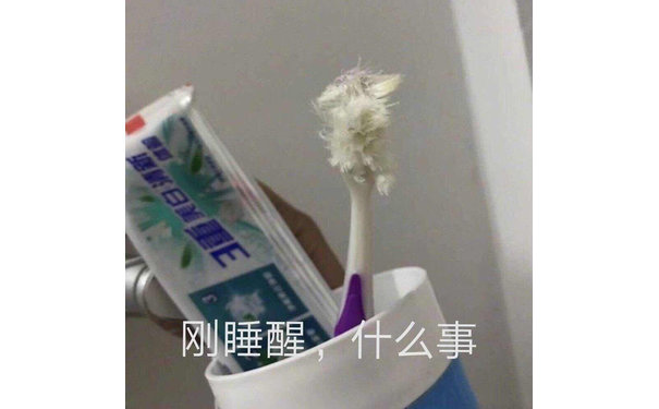 刚睡醒，什么事（牙刷）