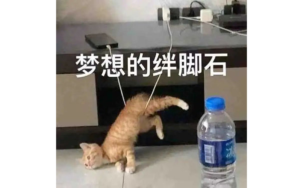 梦想的绊脚石(猫猫表情包)