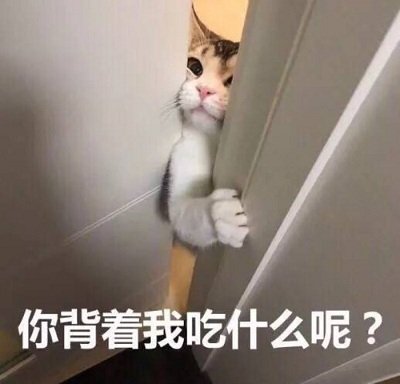 你背着我吃什么呢?(猫咪)