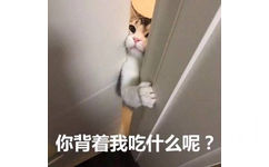 你背着我吃什么呢?(猫咪)