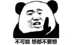 不可能想都不要想(熊猫头)