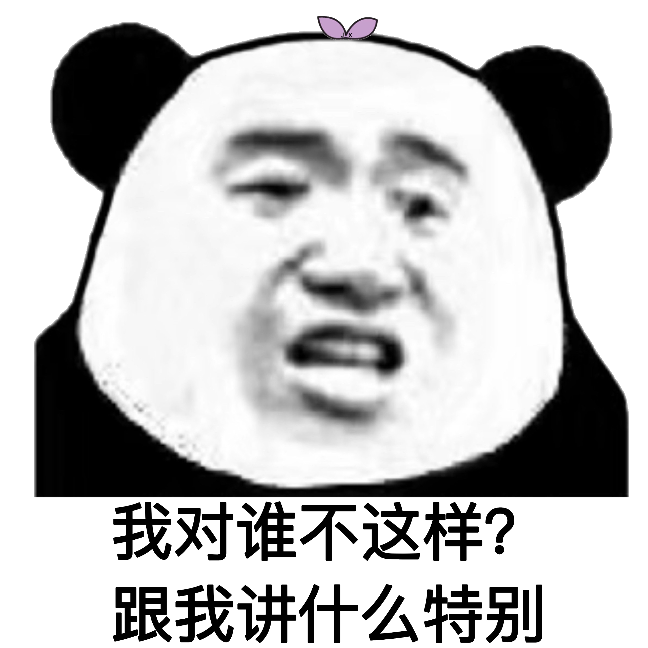 我对谁不这样？跟我讲什么特别（熊猫头）