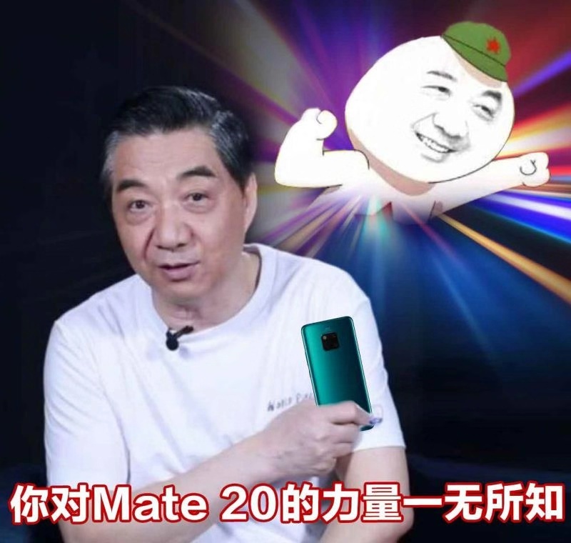 你对Mate20的力量一无所知 - 局座张召忠表情包