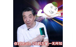 你对Mate20的力量一无所知 - 局座张召忠表情包