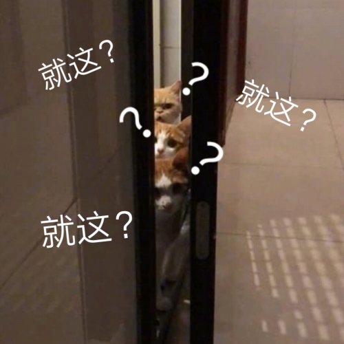 猫咪就这？