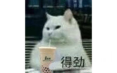 得劲（猫咪喝奶茶）