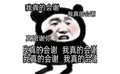 我真的会谢我真的会谢真谢谢你填真的会谢我真的会我真的会谢我真的会谢