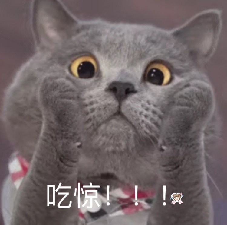 吃惊（猫咪）