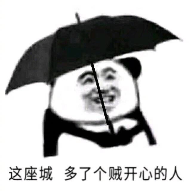 这座城多了个贼开心的人