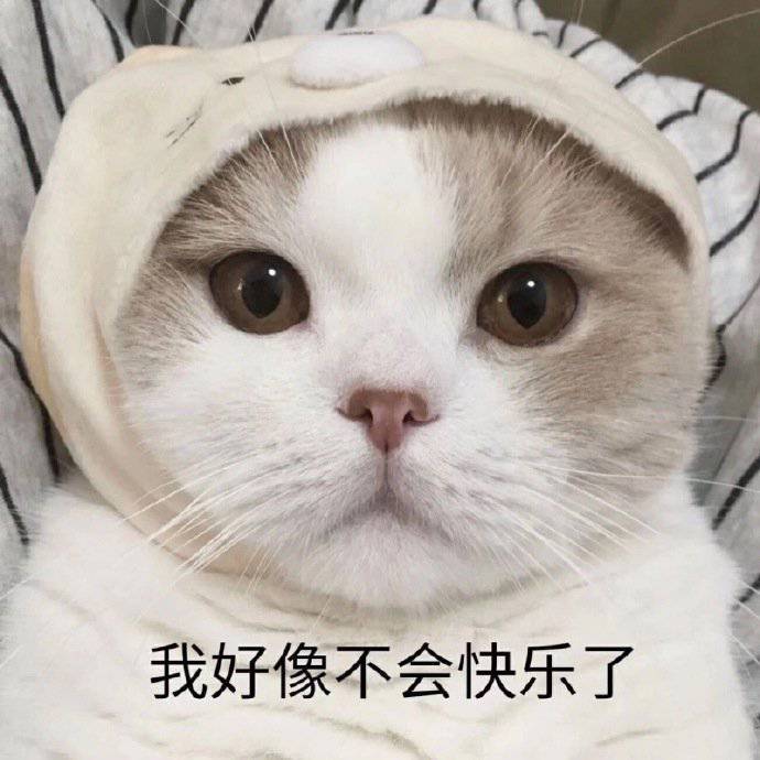 我好像不会快乐了