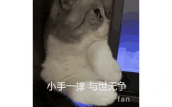 小手一撑与世无争fan (猫咪动态表情包)