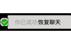 你已成功恢复聊天 - 恶搞微信系统提示表情包 ​