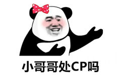 小哥哥处CP吗