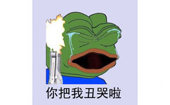 你把我丑哭啦 - sad frog 表情包