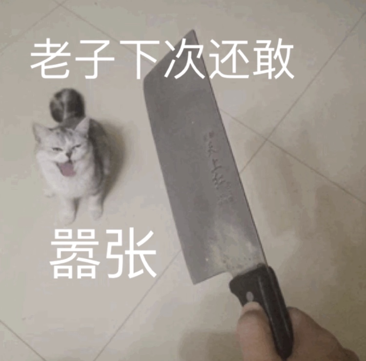 老子下次还敢嚣张(猫咪表情包)