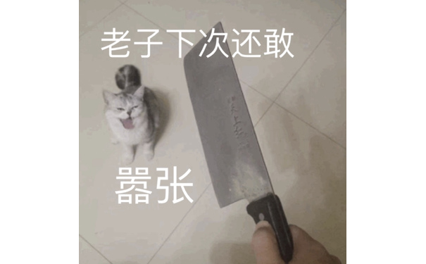 老子下次还敢嚣张(猫咪表情包)