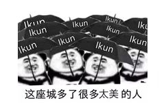 这座城多了很多太美的了（IKUN）