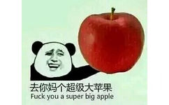 去你妈个超级大苹果（fuck you a super big apple） - 去你妈个大冬瓜