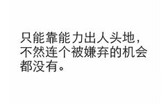 只能靠能力出人头地，不然连个被嫌弃的机会都没有。 - 纯文字表情系列