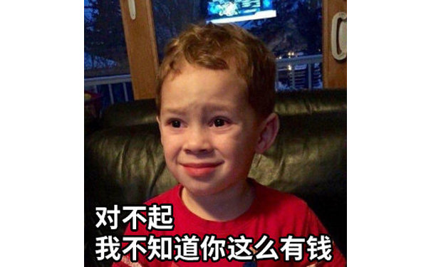 对不起我不知道你这么有钱(假笑男孩 Gavin)