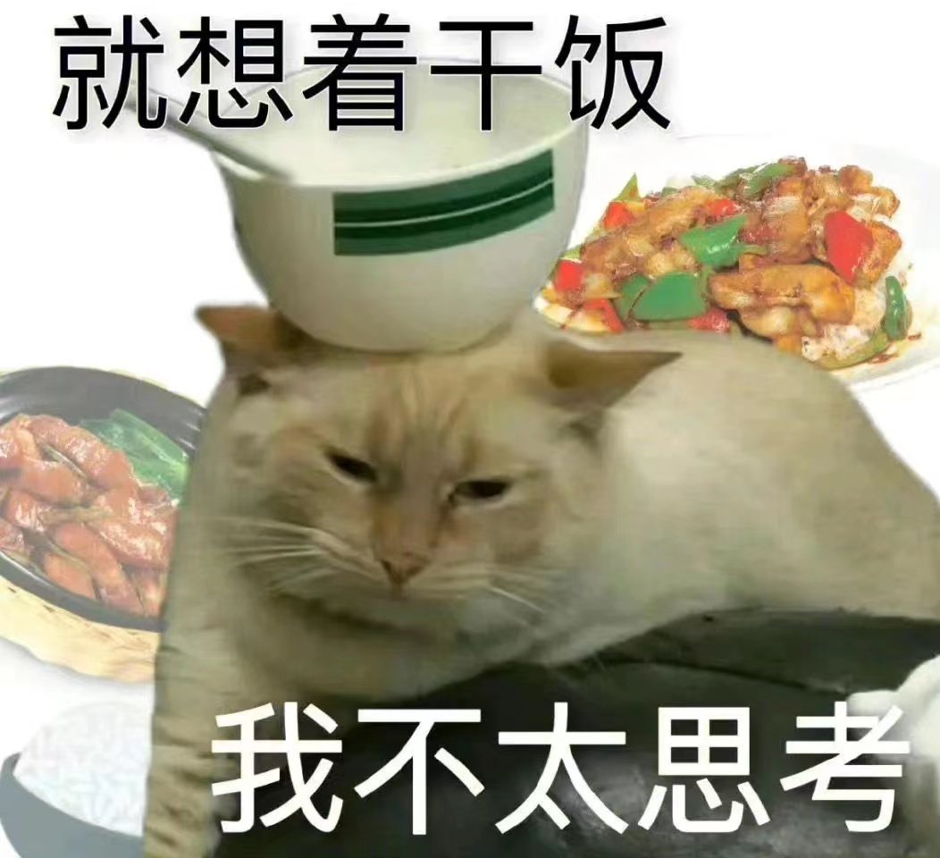 就想着干饭我不太思考