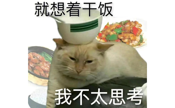 就想着干饭我不太思考