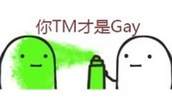 你 TM 才是 Gay - 喷雾系列表情包