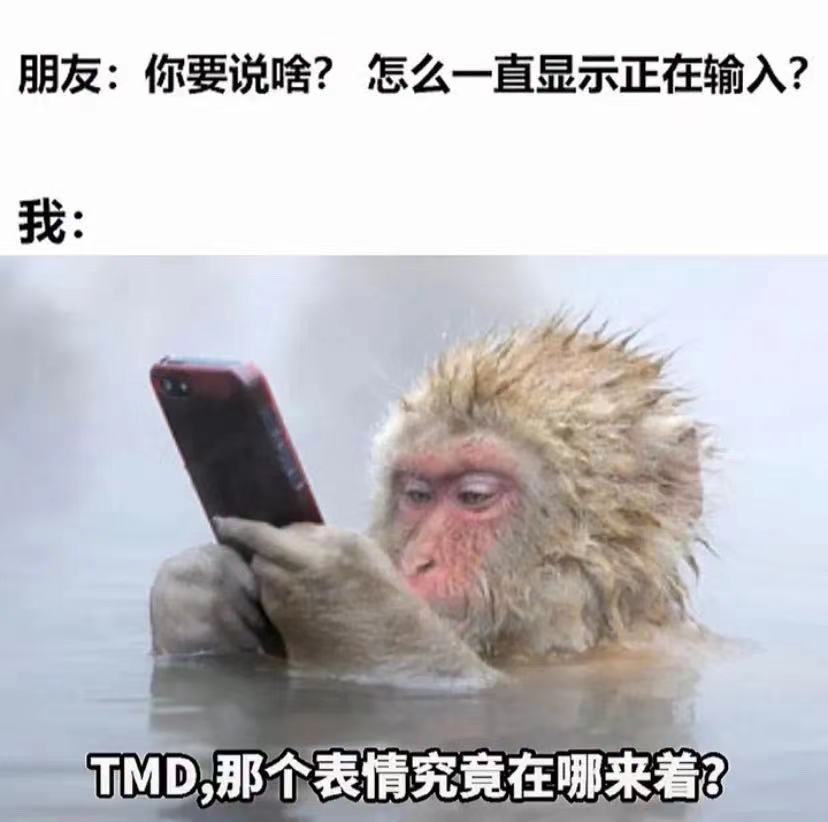 朋友:你要说啥?怎么一直显示正在输入?我:TMD那个表情究竟在哪来着?