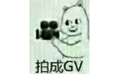 拍成 GV - 祖传高糊斗图小表情 ​
