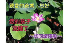 亲爱的爸妈，您好！您的孩子没钱了，认同请汇款，祝平安、幸福 - 近期热门表情包精选-2017/10/18