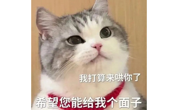 我打算来哄你了希望您能给我个面子(猫猫表情包)