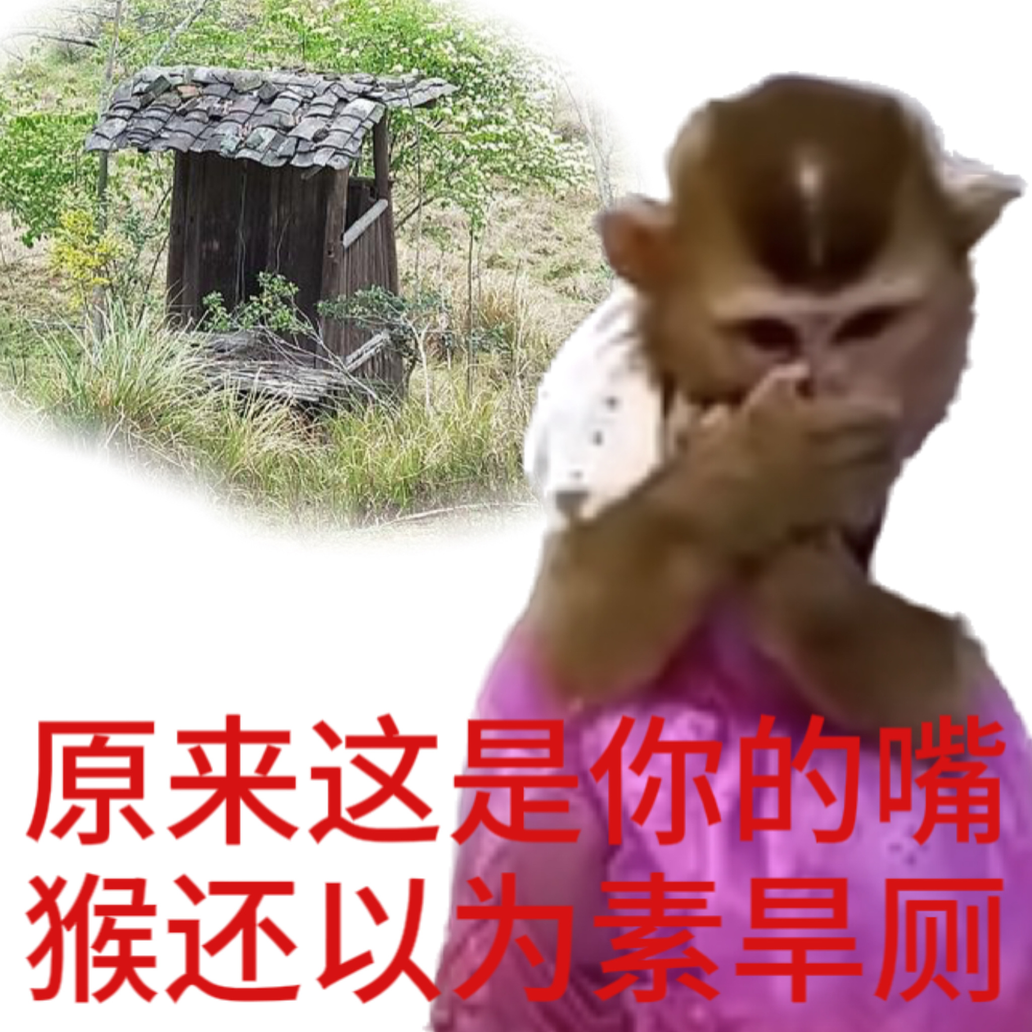 原来这是你的嘴猴还以为素旱厕