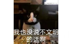 我也没说不文明的话啊(猫猫表情包)