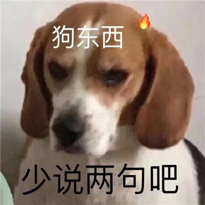 狗东西少说两句吧