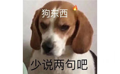 狗东西少说两句吧