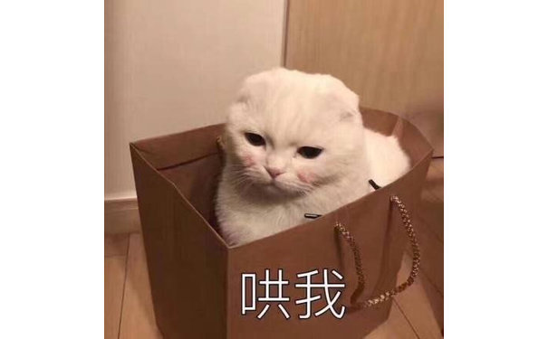 哄我(猫猫表情包)