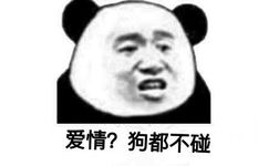 爱情?狗都不碰