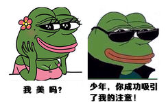 我美吗？少年，你成功吸引了我的注意（sad frog） - 他们都是成双成对，而你呢？