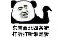 东南西北四条街，打听打听谁是爹（熊猫头表情包）